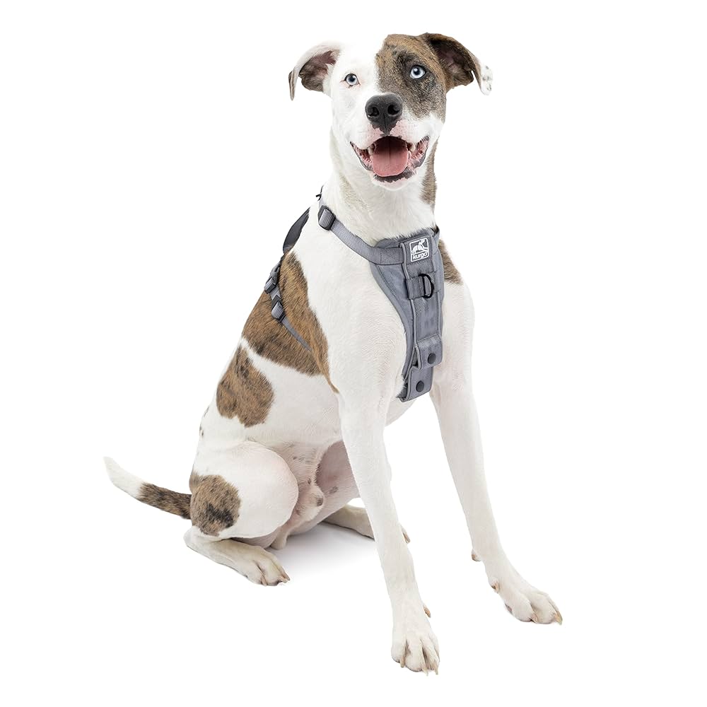 NEIGHBORHOOD DOG HARNESS グレー Dog-Harness---Black-241MTNH-